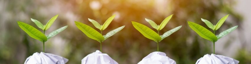 Scope Group expands ESG services with second-party opinions and green bond certification